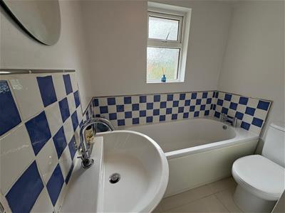 Picture 24